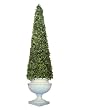CALIFORNIA CONE TOPIARY 72"H