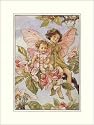 Apple Blossom Fairy Poster Print