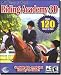 Rider's Guide To The Best Horse Riding Computer Games