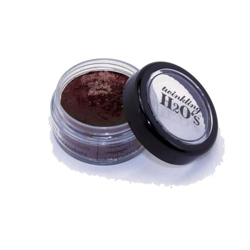 Twinkling H20's Shimmering Watercolors 10 Gram Jar-Chestnut