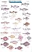 Mac's Field Guide to Northwest Coastal Fish (Mac's Field Guides)