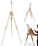 Portable Wooden Artist Easel with Carry Case