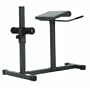 Apex Roman/Hyper Extension Bench