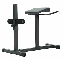 Apex Roman/Hyper Extension Bench