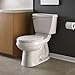 American Standard 2018.214.021 Champion-4 Elongated Combination Two-Piece Toilet, Bone
