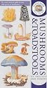 Kingfisher Field Guide to the Mushrooms and Toadstools of Britain and Europe (Kingfisher field guides)