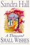 A Thousand Small Wishes