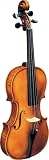 Strunal 193WA BH Concert Violin Outfit, 4/4