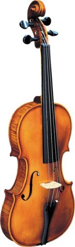 Strunal 193WA BH Concert Violin Outfit, 4/4