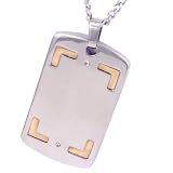 Stainless/14K Steel Men's Duo Diamond Dog Tag Necklace