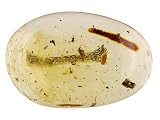 MM VARIES OVAL MEDIUM COPAL