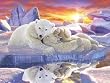 Polar Bears Puzzle by Ravensburger, Super 200-piece
