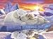 Ravensburger Polar Bears 200 Piece Puzzle : 12740