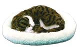 Pet Dreamz Cat