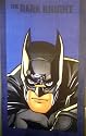 Batman Dark Knight Bath Towel, Multi