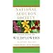 National Audubon Society Field Guide to North American Wildflowers--E: Eastern Region - Revised Edition