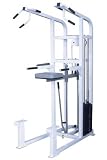 Maximus Fitness MX330 Assisted Chin up and Dip Exercise Machine