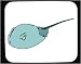 Decorated Mouse Pad with blue, horseshoe, crab