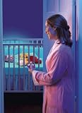 Winnie The Pooh Lullaby Soother