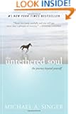 The Untethered Soul: The Journey Beyond Yourself