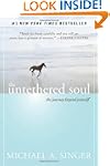 The Untethered Soul: The Journey Beyo...