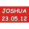 ENGRAVED NUMBER PLATES FOR CHILDRENS LITTLE TIKES COZY COUPE RIDE ON TOYS **ADD YOUR TEXT* (RED)