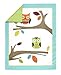 Sweet Jojo Designs Turquoise and Lime Hooty Owl Unisex Baby Boy or Girl Bedding 9 pc Crib Set