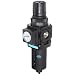 Dixon B08-02MG Manual Drain Wilkerson Miniature Filter/Regulator with Transparent Bowl and Guard, 1/4" Size, 42.1 SCFM Flow, 150 psig Pressure