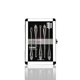 001 Chrome Design Eye and Lip Brushes Set - B0035QJV0G