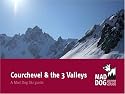 Courchevel and the 3 Valleys (Mad Dog Ski resort guides)