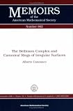 The Beilinson Complex And Canonical Rings of Irregular Surfaces (Memoirs of the American Mathematical Society)