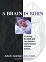 A Brain Is Born: Exploring the Birth and Development of the Central Nervous System