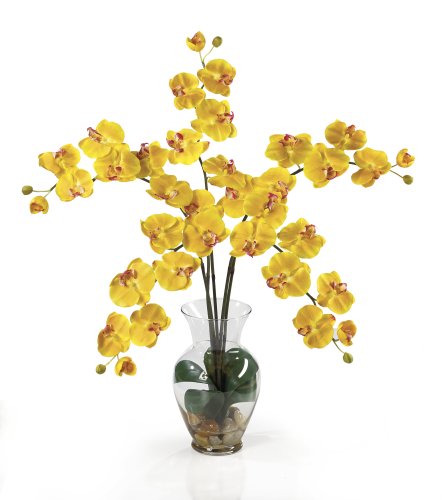 Silk Orchid Artificial Flower Arrangement - Phalaenopsis Liquid Illusion-Yellow