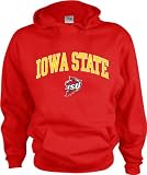 Iowa State Cyclones Kids/Youth Perennial Hooded Sweatshirt
