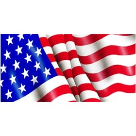 Airbrushed License Plate - American Flag License Plate - #1514