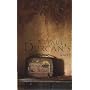 Paul Durcan's Diary