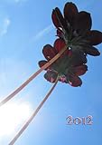 Produkt-Bild: Kalender 2012 - Blume: 1 Woche pro Doppelseite, DIN A 5