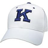 Zephyr Kentucky Wildcats DH Fitted Hat