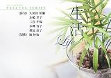 生活 (パレットシリーズ)