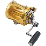 Penn International V-Series 2-Speed Fishing Reel