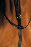 Wintec Running Martingale
