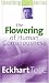 The Flowering of Human Consciousness