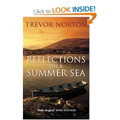 Reflections On A Summer Sea