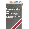 Representations and Cohomology: Volume 2, Cohomology of Groups and Modules (Cambridge Studies in Advanced Mathematics)