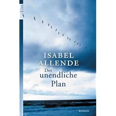 Der unendliche Plan: Roman