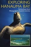 Exploring Hanauma Bay (A Kolowalu Book)