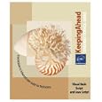 Visual Basic Script and Java Script, Keeping Ahead, ENI (Keeping... by  Eni Publishing Ltd.