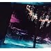 FREEZE(����)(DVD�t)