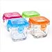 Glass Baby Food Containers with Multi Lid Colors