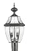 Livex Lighting 2254-04 Monterey 2 Light Outdoor Black Finish Solid Brass Post Head with Clear Beveled Glass